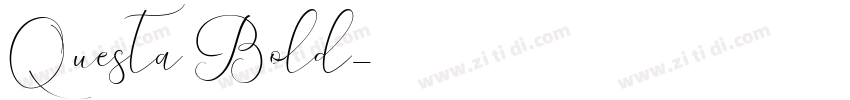 Questa Bold字体转换